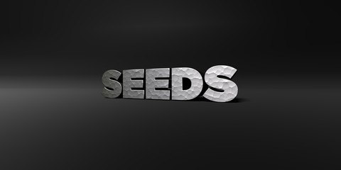 SEEDS - hammered metal finish text on black studio - 3D rendered royalty free stock photo. This image can be used for an online website banner ad or a print postcard.