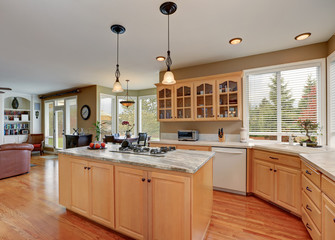 Maple storage combination and large island in the kitchen room