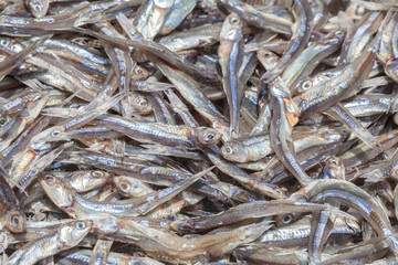 Dried Small fish