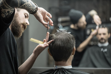 Cutting hair in barbershop - obrazy, fototapety, plakaty