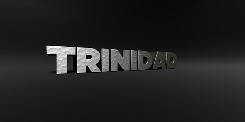 TRINIDAD - hammered metal finish text on black studio - 3D rendered royalty free stock photo. This image can be used for an online website banner ad or a print postcard.