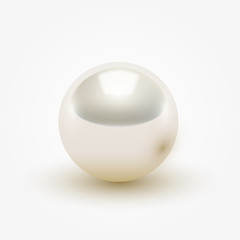 Shiny realistic white pearl on white background, vector illustration