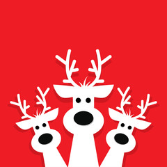 three white reindeer on a red background. © StockVector