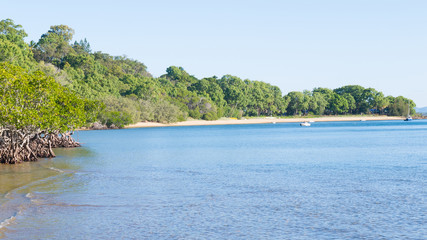 Mangroves and coastline