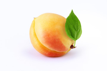 apricot