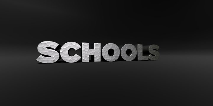SCHOOLS - hammered metal finish text on black studio - 3D rendered royalty free stock photo. This image can be used for an online website banner ad or a print postcard.