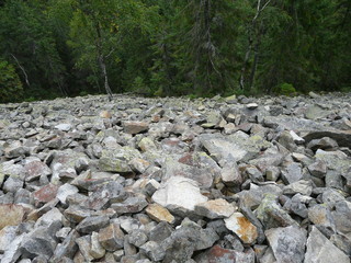 hillside  with  stones