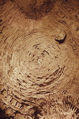 Brick ceiling in the ancient Roman cellars of Diocletian's Palace in Split, Croatia