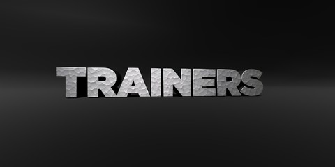 TRAINERS - hammered metal finish text on black studio - 3D rendered royalty free stock photo. This image can be used for an online website banner ad or a print postcard.