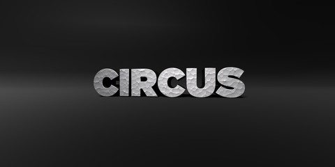 CIRCUS - hammered metal finish text on black studio - 3D rendered royalty free stock photo. This image can be used for an online website banner ad or a print postcard.