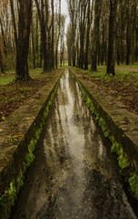 Canal d'eau du parc du château de Fontainebleau