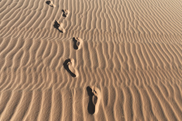 Fototapeta na wymiar Footprints on a white sand dunes desert