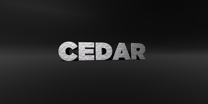 CEDAR - hammered metal finish text on black studio - 3D rendered royalty free stock photo. This image can be used for an online website banner ad or a print postcard.