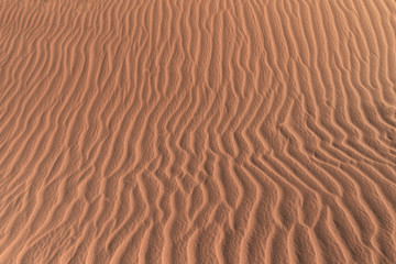 Desert sand texture asia windy summer background