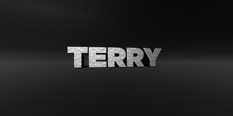 TERRY - hammered metal finish text on black studio - 3D rendered royalty free stock photo. This image can be used for an online website banner ad or a print postcard.