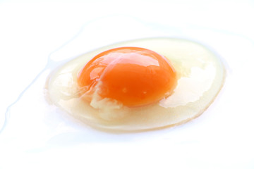 raw egg yolk isolated