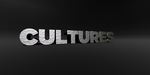 CULTURES - hammered metal finish text on black studio - 3D rendered royalty free stock photo. This image can be used for an online website banner ad or a print postcard.