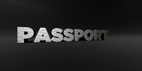 PASSPORT - hammered metal finish text on black studio - 3D rendered royalty free stock photo. This image can be used for an online website banner ad or a print postcard.