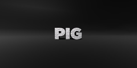 Fototapeta na wymiar PIG - hammered metal finish text on black studio - 3D rendered royalty free stock photo. This image can be used for an online website banner ad or a print postcard.