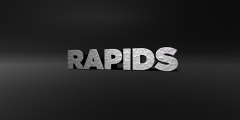 RAPIDS - hammered metal finish text on black studio - 3D rendered royalty free stock photo. This image can be used for an online website banner ad or a print postcard.