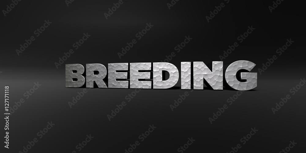 Fototapete breeding - hammered metal finish text on black studio - 3d rendered royalty free stock photo. this i