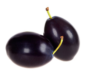 plums on a white background
