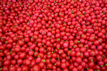 Radish heap texture