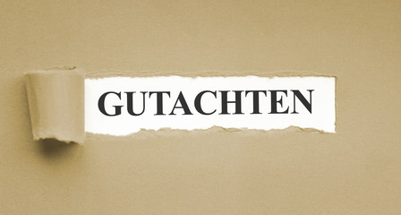 Gutachten