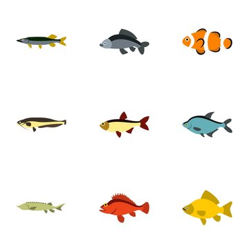Species of fish icons set. Flat illustration of 9 species of fish vector icons for web