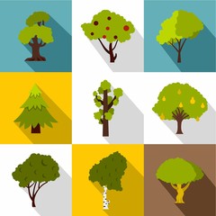Woody plants icons set. Flat illustration of 9 woody plants vector icons for web