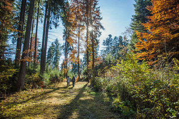 2 Spaziergänger in einem bunten Herbstwald