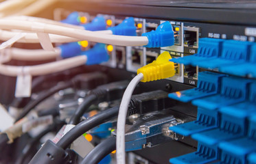 Lan cable connect to network switch for internet or ethernet