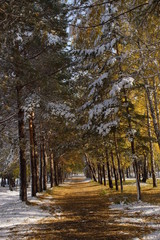 Fototapeta premium Autumn and winter met 