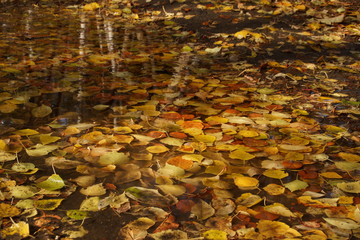 Autumn and winter met 