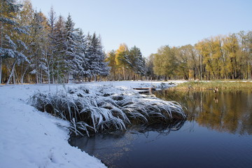 Autumn and winter met 
