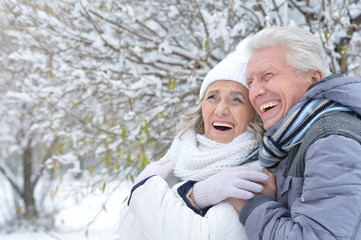 Fototapeta premium Senior couple in winter park 