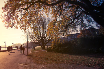 Fototapeta premium Herbst