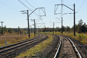 Railway in northern autumn forest