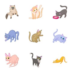 Furry friend icons set. Cartoon illustration of 9 furry friend vector icons for web