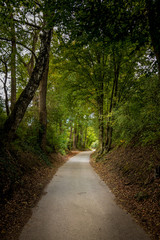 The road to nature