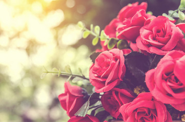 bunch of red rose flower on table with nature blur background