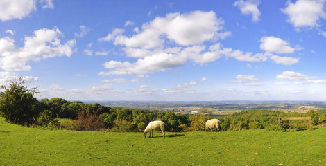 Obraz premium cotswold landscape uk