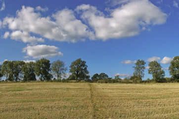 Obraz premium cotswold landscape uk