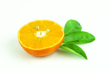 orange fruit slice isolated on white background