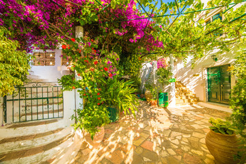 Obraz premium Kwiat ze schodami w klasztorze Theotokos, miasto Paleokastritsa, wyspa Korfu, Grecja