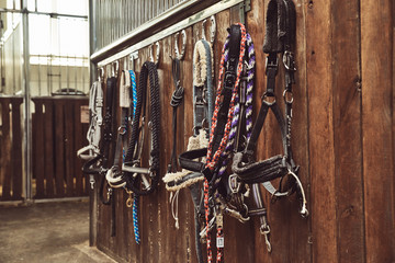 Leather horse bridles and bits hanging on wall of stable with one missing