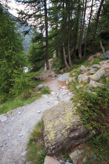 sentiero in montagna