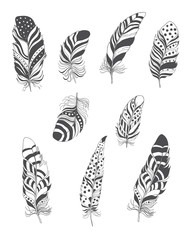 Set of Decorative Bird Feather for Boho Style. Vector.