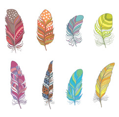 Set of Colorful Decorative Bird Feather for Boho Style. Vector.