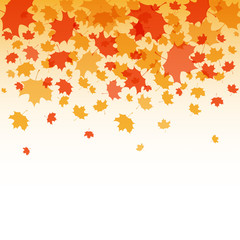Fototapeta na wymiar Thanksgiving background vector illustration. Autumn background for postcard, poster. Thanksgiving card, logo or badge background. Autumn vector vintage style background